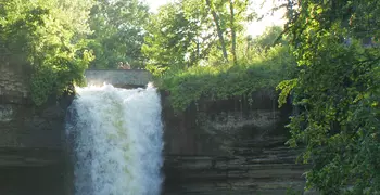 a calming waterfall with trees surrounding