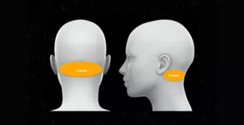 Diagram showing the occipital region at the back of the head close to the neck.