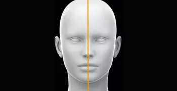 Diagram showing the two sides of the head, separated into left and right at the nose.