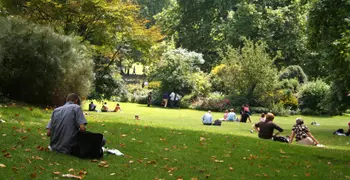 people relaxing in a green public park