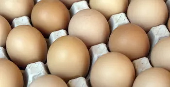 image of eggs in a carton