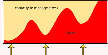 A graph showing stress capacity 