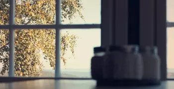 A set of windows, looking out over a garden