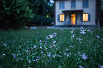 in-focus lawn with wildflowers in the foreground, with a house in the background