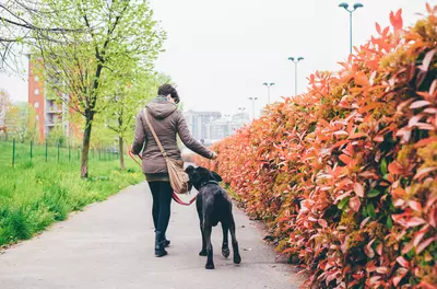 woman walking her dog 