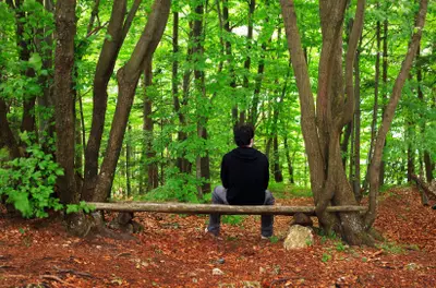 man sitting on a bench in a peaceful forest