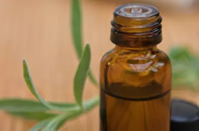 bottle of essential oil with leaves in the background