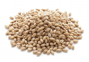 barley