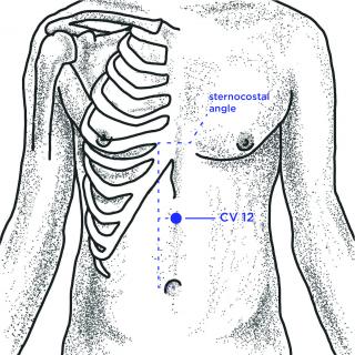 CV 12