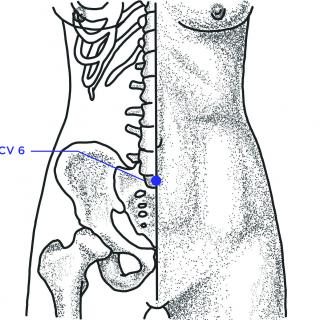 CV 6