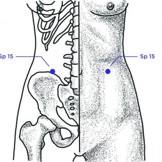 Sp 15