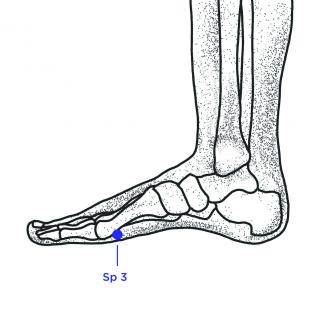 Sp 3
