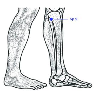 Sp 9
