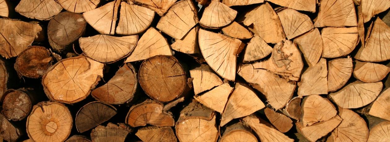 wood background