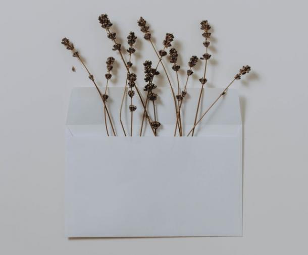 white envelope with flowers poking out